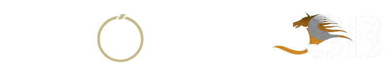 ONLB GROUP